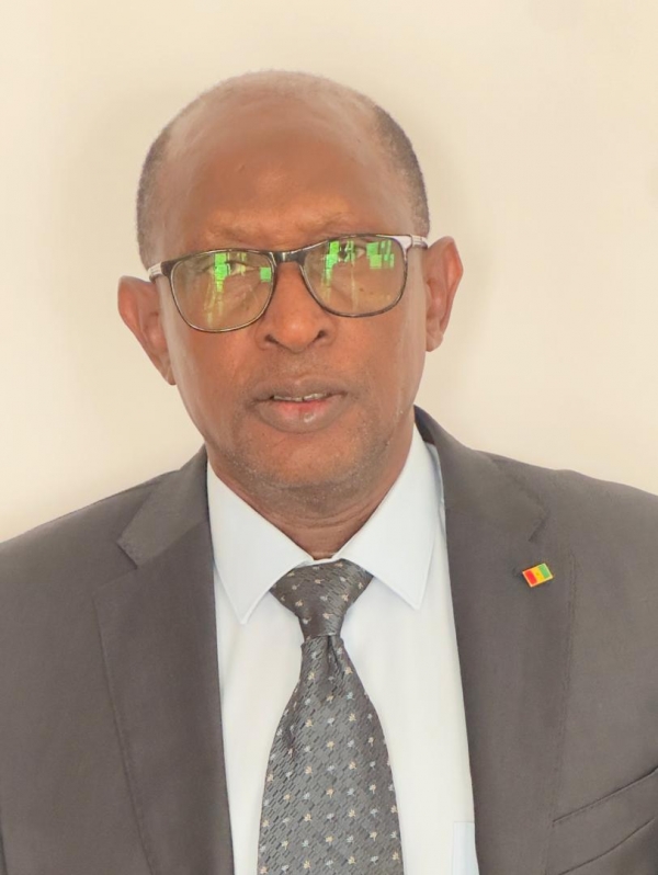 Tribune : Ousmane Sonko, une malchance pour le Sénégal ? Enquête sur un système de rupture et de régression