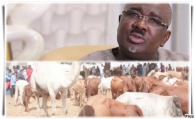 Gamou de Tivaouane : Farba Ngom offre 30 bœufs aux khalifes de chaque de famille de Seydi El Hadji Malick Sy