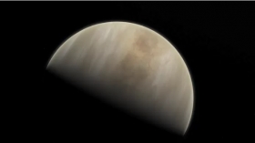 Une forme de vie sur Vénus?