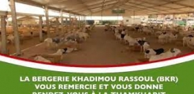 Tamkharit : Ce que promet la Bergerie Khadim Rassoul 