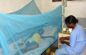 Paludisme: L’Union africaine approuve le vaccin antipaludéen de l’OMS